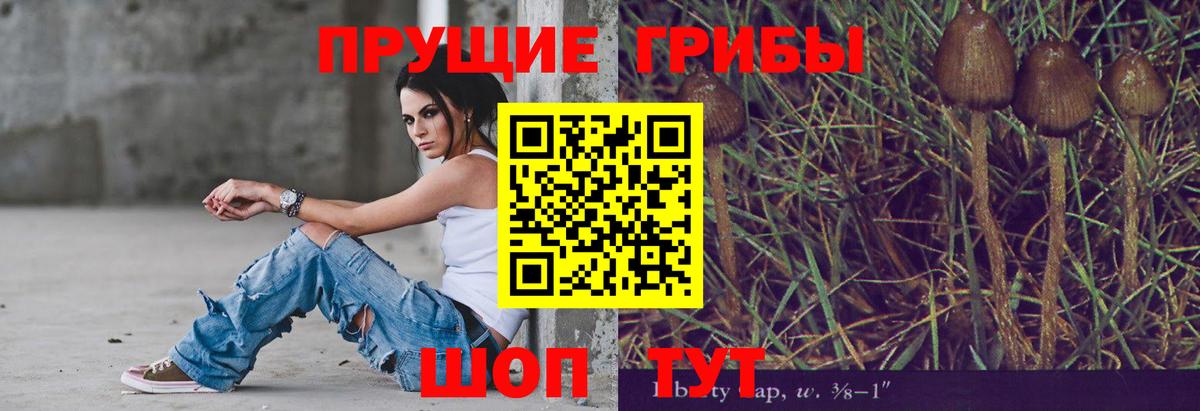 Псилоцибиновые грибы мицелий  Вход с VPN  Лесной 
